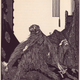 Illustration for article titled Illustrations that made Edgar Allan Poes stories even more horrifying